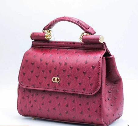 Dolce style-حقيبة نسائية من شركة باغو