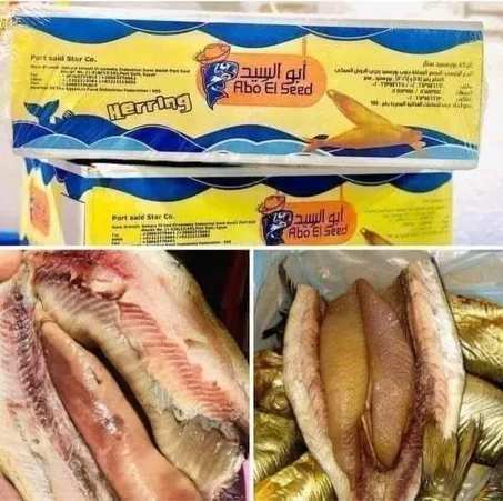 رنجه ابو السيد بطروخ خشن