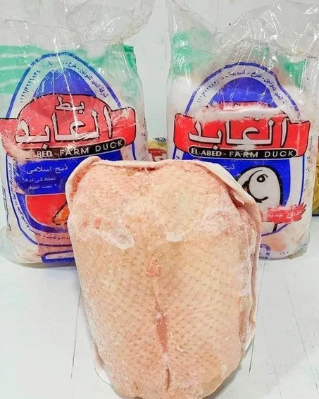 صدور بط العابد