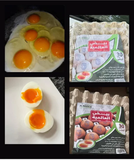 بيض العالمية