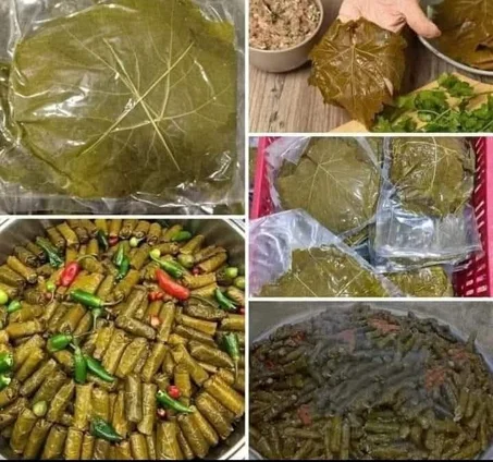 ورق عنب سورى