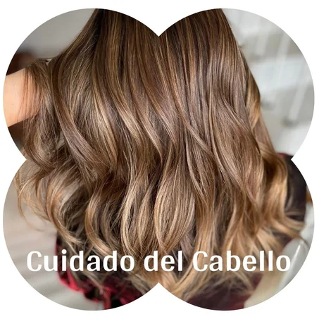 Cuidado del Cabello