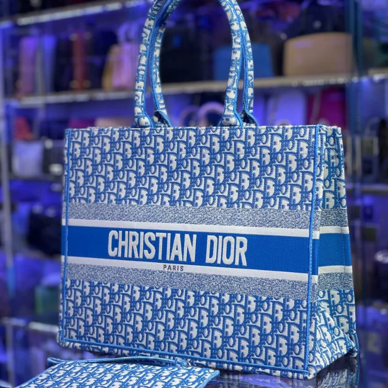SAC CHRISTIAN DIOR paris