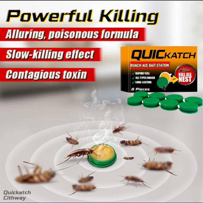stores/7346d2e46561378d1a92646b52492478/products/EyDD4ZWdVztzUBfVpeCSvVwCN90MMXOw5WkvZhHT.png