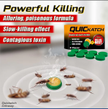 stores/7346d2e46561378d1a92646b52492478/products/EyDD4ZWdVztzUBfVpeCSvVwCN90MMXOw5WkvZhHT.png