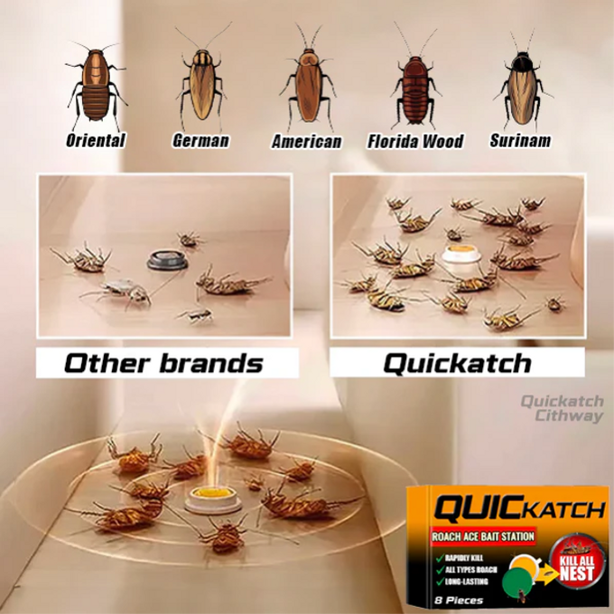 stores/7346d2e46561378d1a92646b52492478/products/iHTrm8UBCI8eFvo0ZRlie3PJ8JKahfSWtPJfkxBM.png