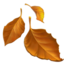 🍂