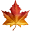 🍁