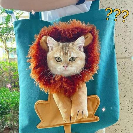 Pet Travel Carrier for Small Dogs and Cats