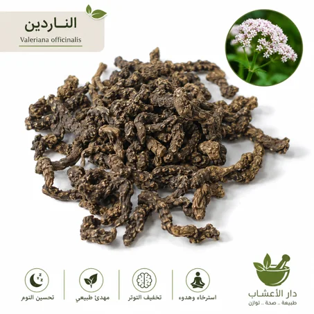 الناردين (Valeriana officinalis)