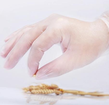 gants alimentaire multifonction