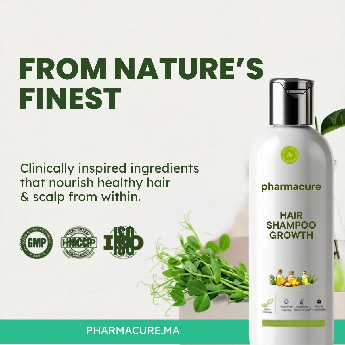الشامبو ضد التساقط PHARMACURE
