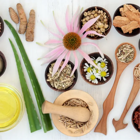 منتجات نباتية