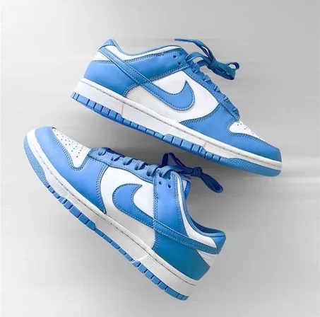 Nike Sb Dunk bleu Air jordan