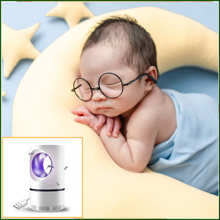 قاتل البعوض