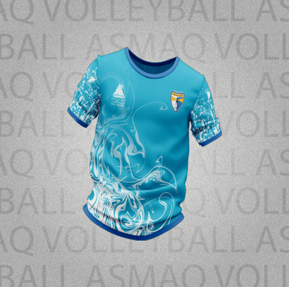 Jersey Officiel Seniors Dames Bleu/Blanc