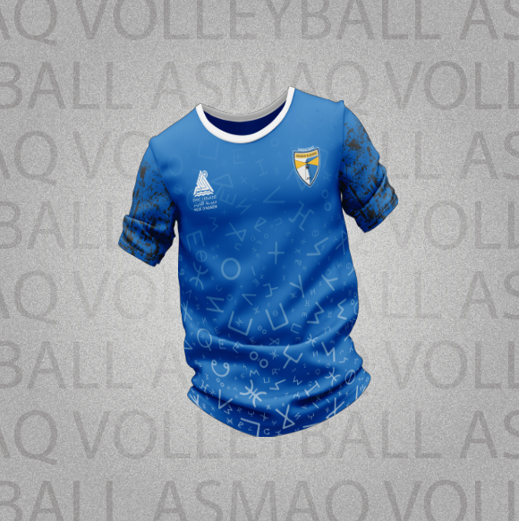 Jersey Officiel Seniors Hommes Bleu/Blanc