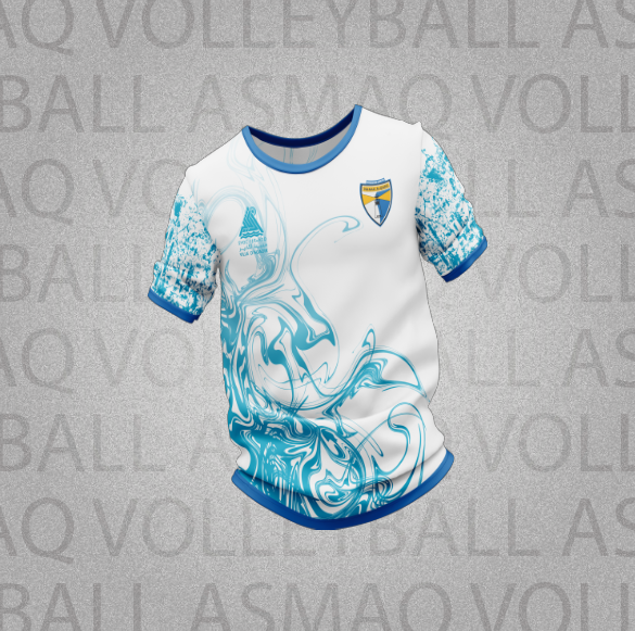 Jersey Officiel Seniors Dames Blanc/Bleu