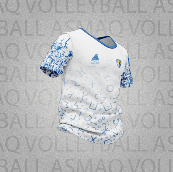 Jersey Officiel Seniors Hommes Blanc/Bleu