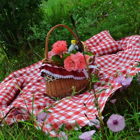 باك النزهة كامل وجاهز🌿