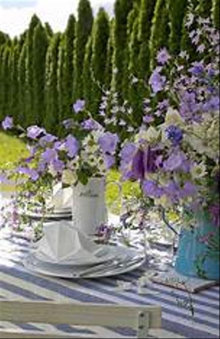 المنزل والحديقة