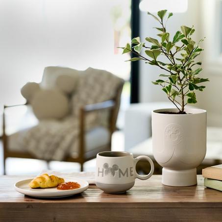 الأثات المنزلي