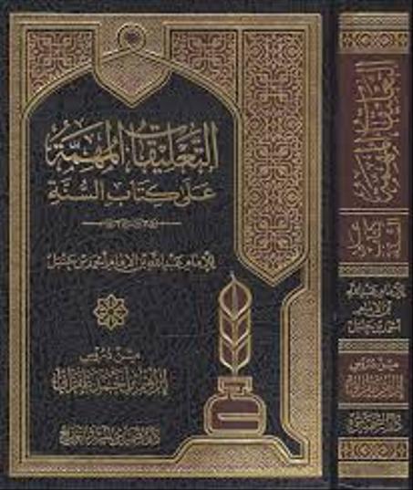 التعليقات المهمة على كتاب السنة