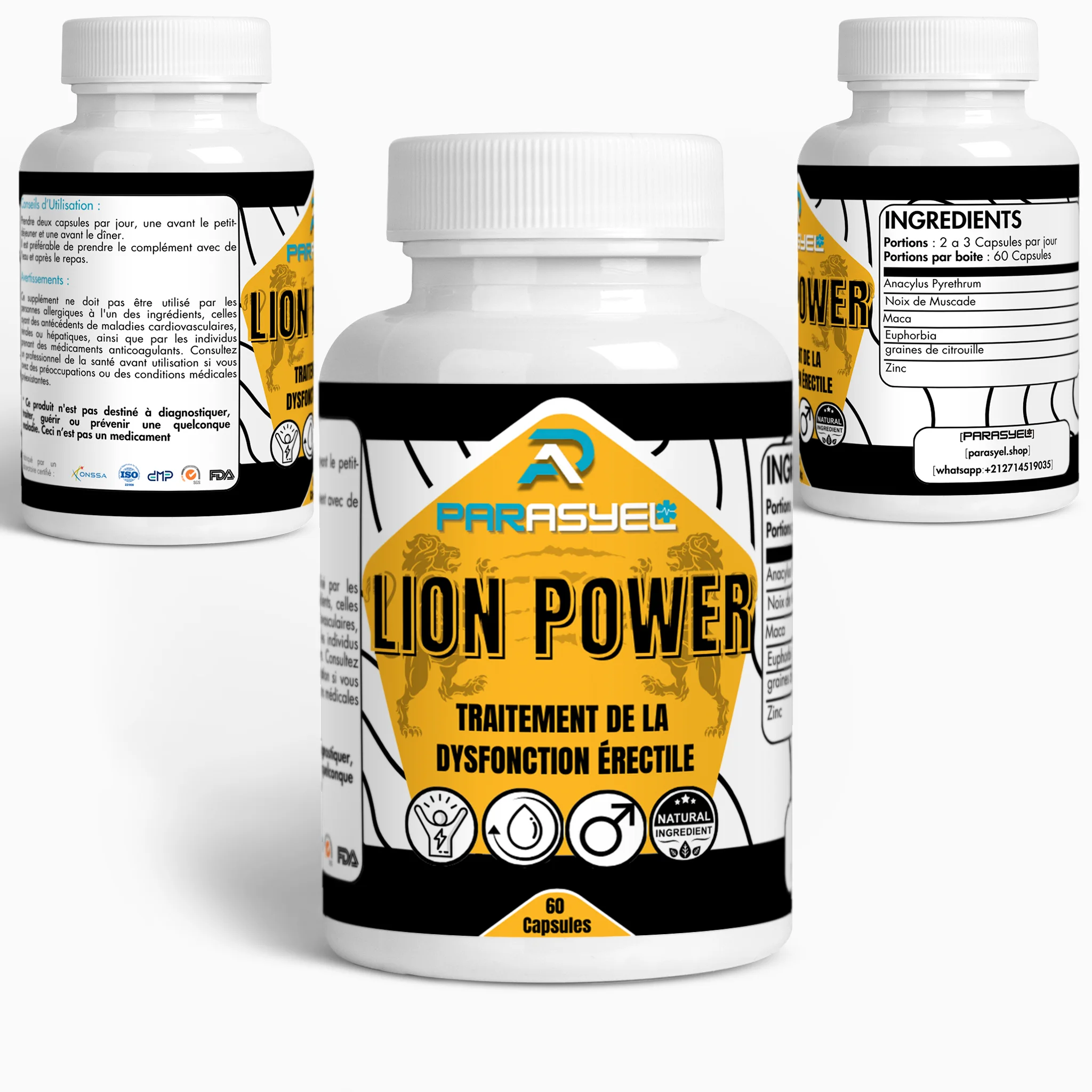 lion power