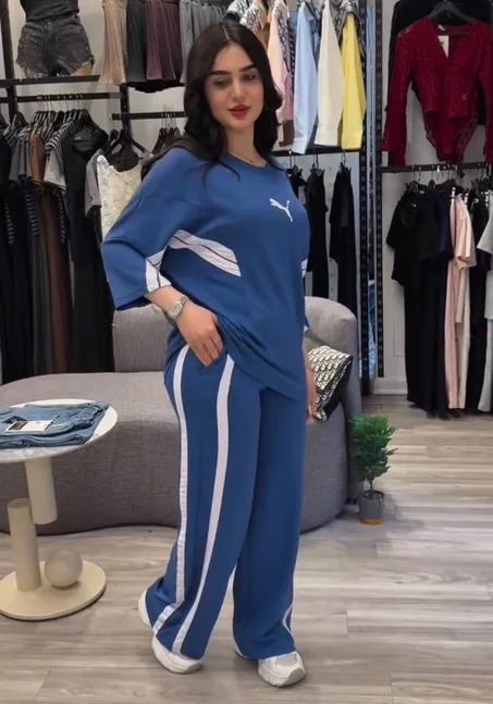 Ensemble Puma