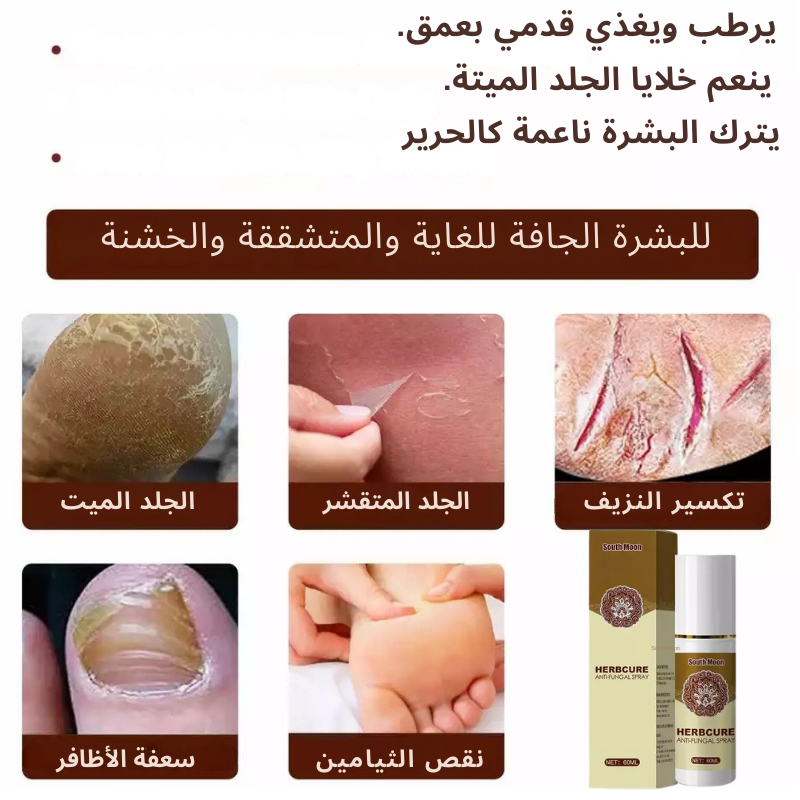 stores/754581016544b2f11031266d63bee4e9/products/aQPSYrOyL5g9K1nqd9gbN3zz79PXHtndLQYCuuuT.png