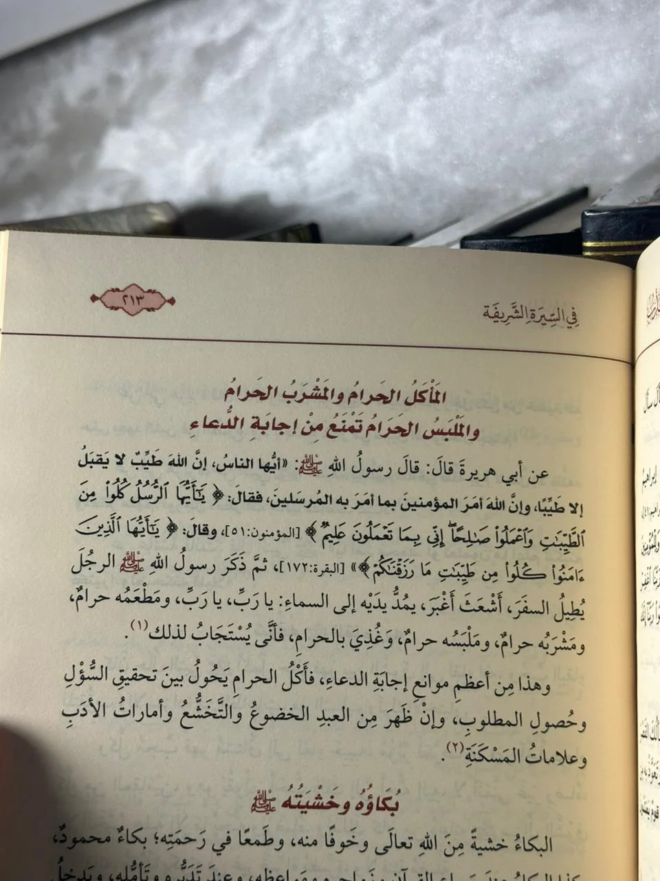 المهذب في سيرة النبي محمد ﷺ