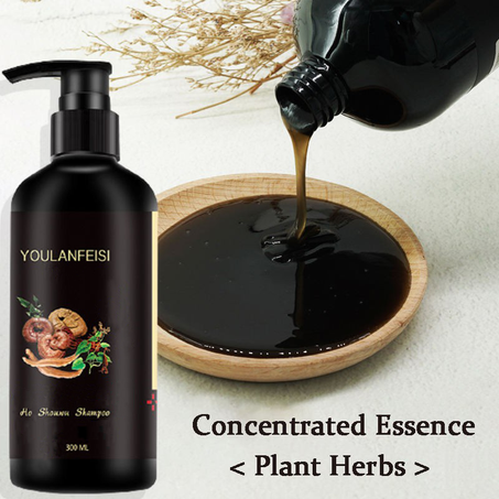Black Hair Shampoo - KWT