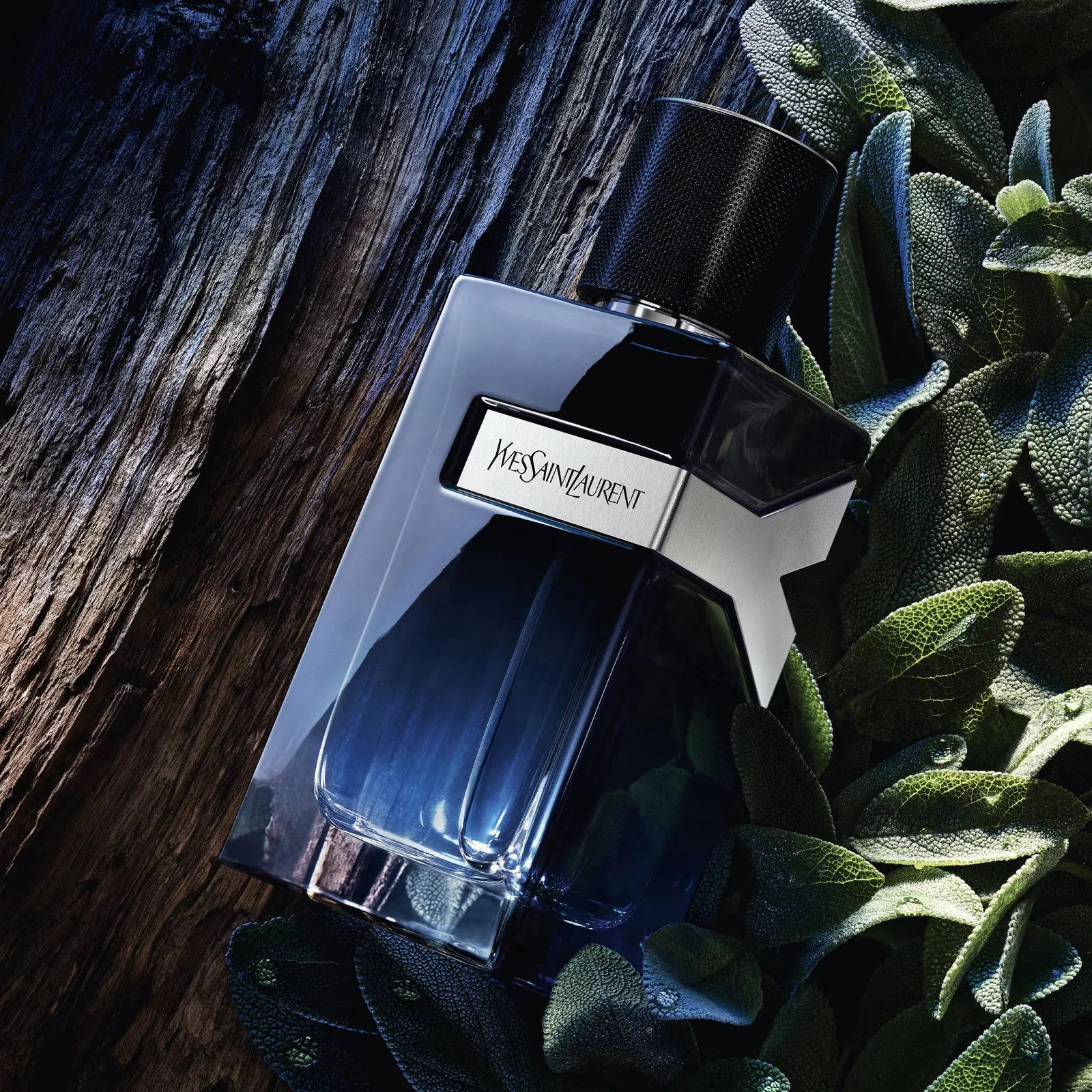 YSL Y Eau de parfum