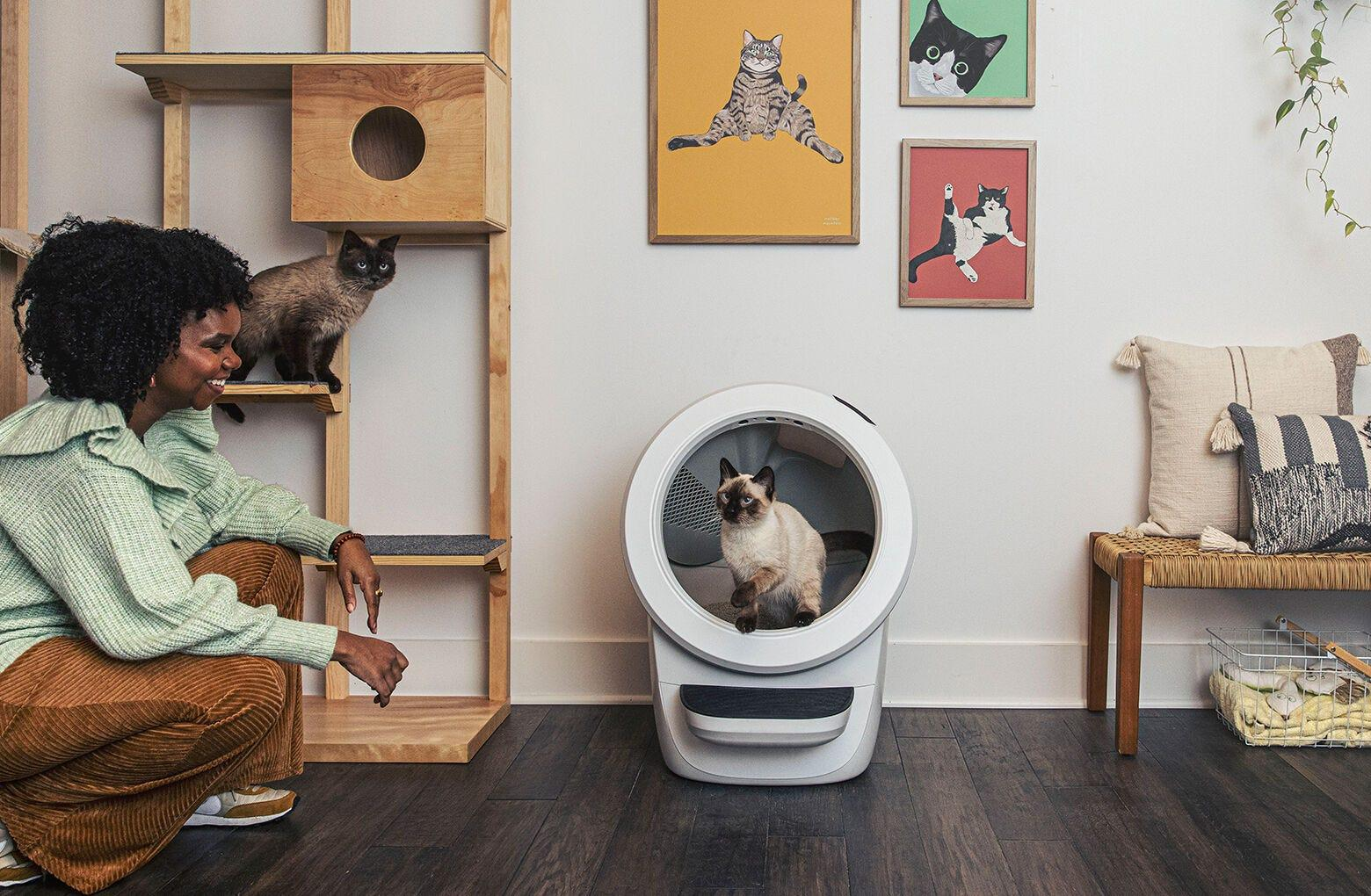 Reconditioned Litter-Robot 4 | Smart App Control & Odor Control | Whisker