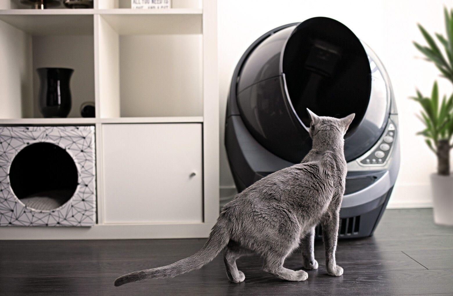 Reconditioned Litter-Robot 3 Connect | Wi-Fi App Control | Whisker