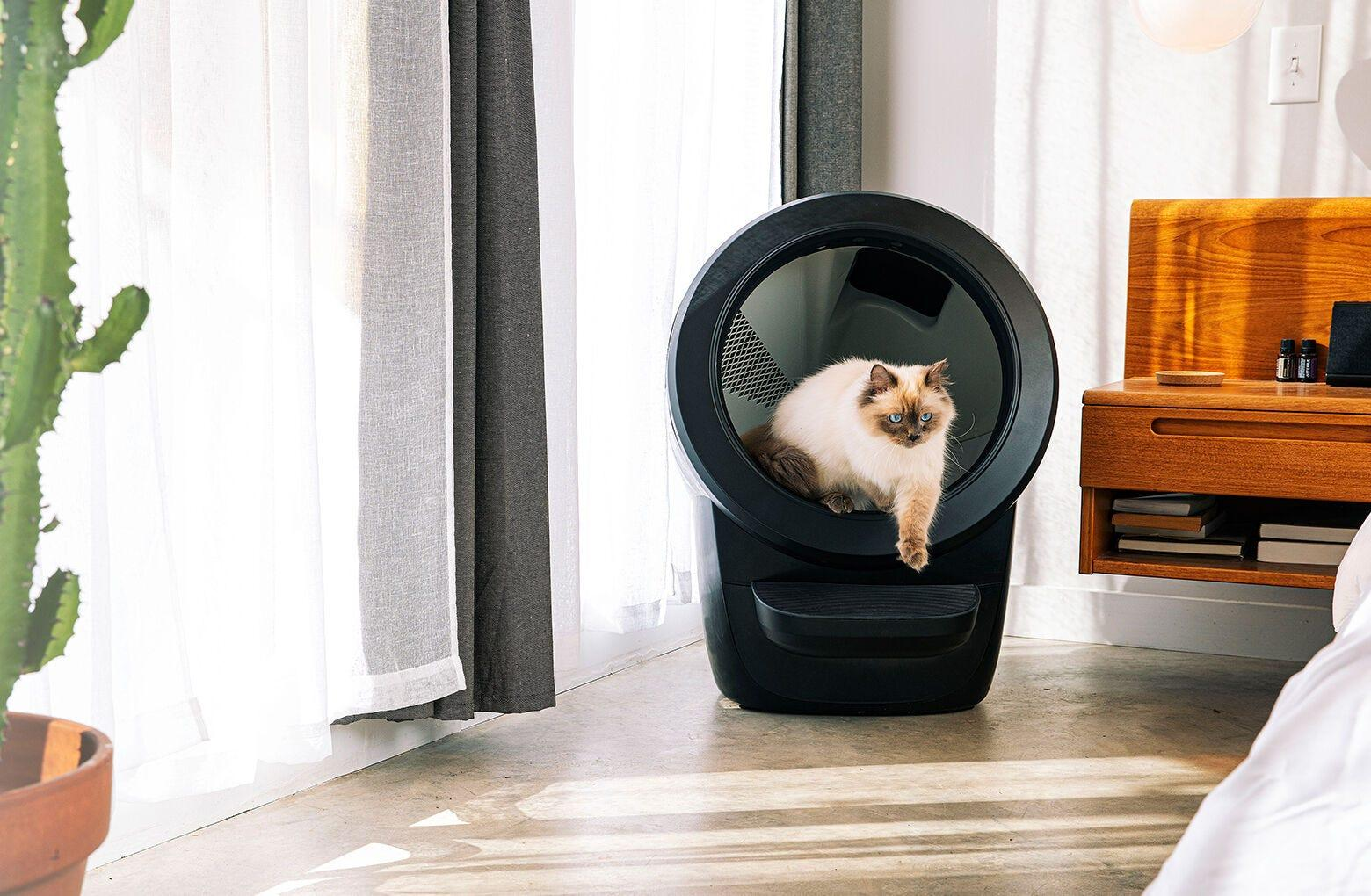 Reconditioned Litter-Robot 4 | Smart App Control & Odor Control | Whisker