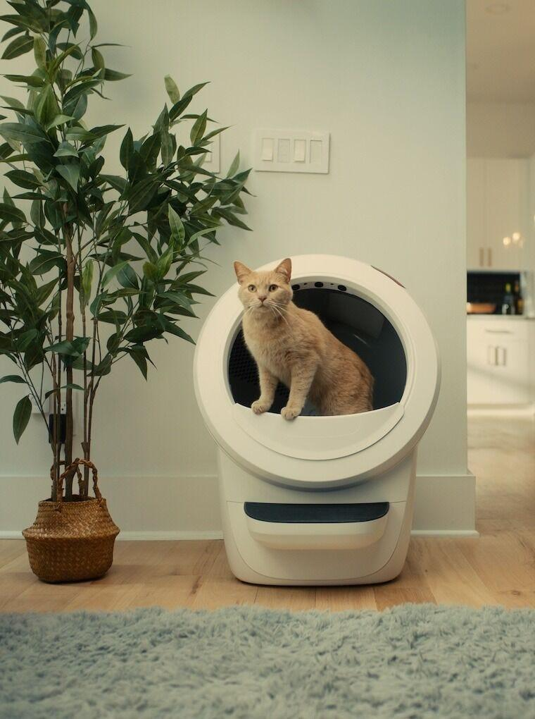 Litter-Robot 4 Bundle | 3-Year Extended Warranty & Smart Control | Whisker