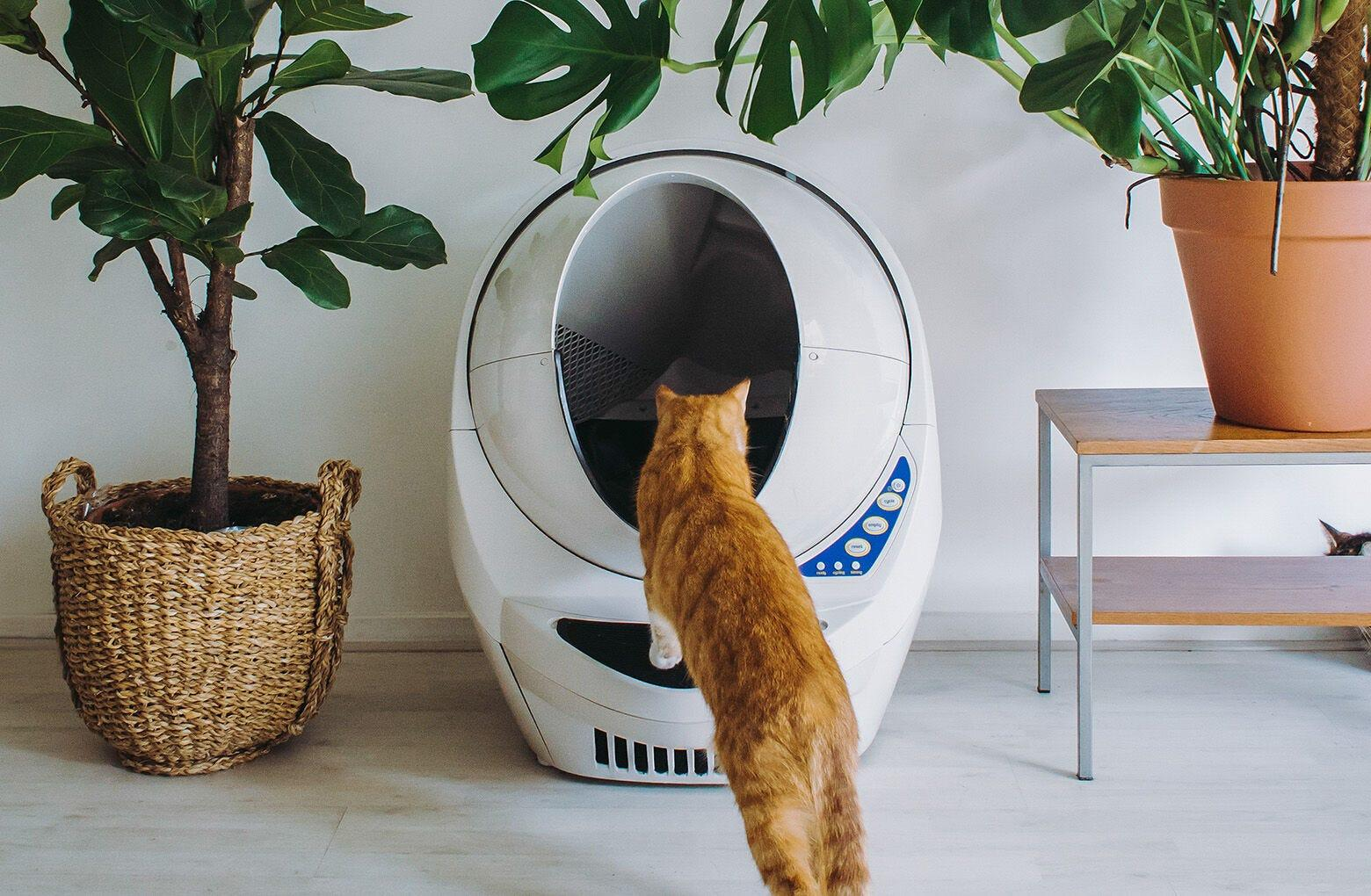 Reconditioned Litter-Robot 3 | Automatic Self-Cleaning | Whisker