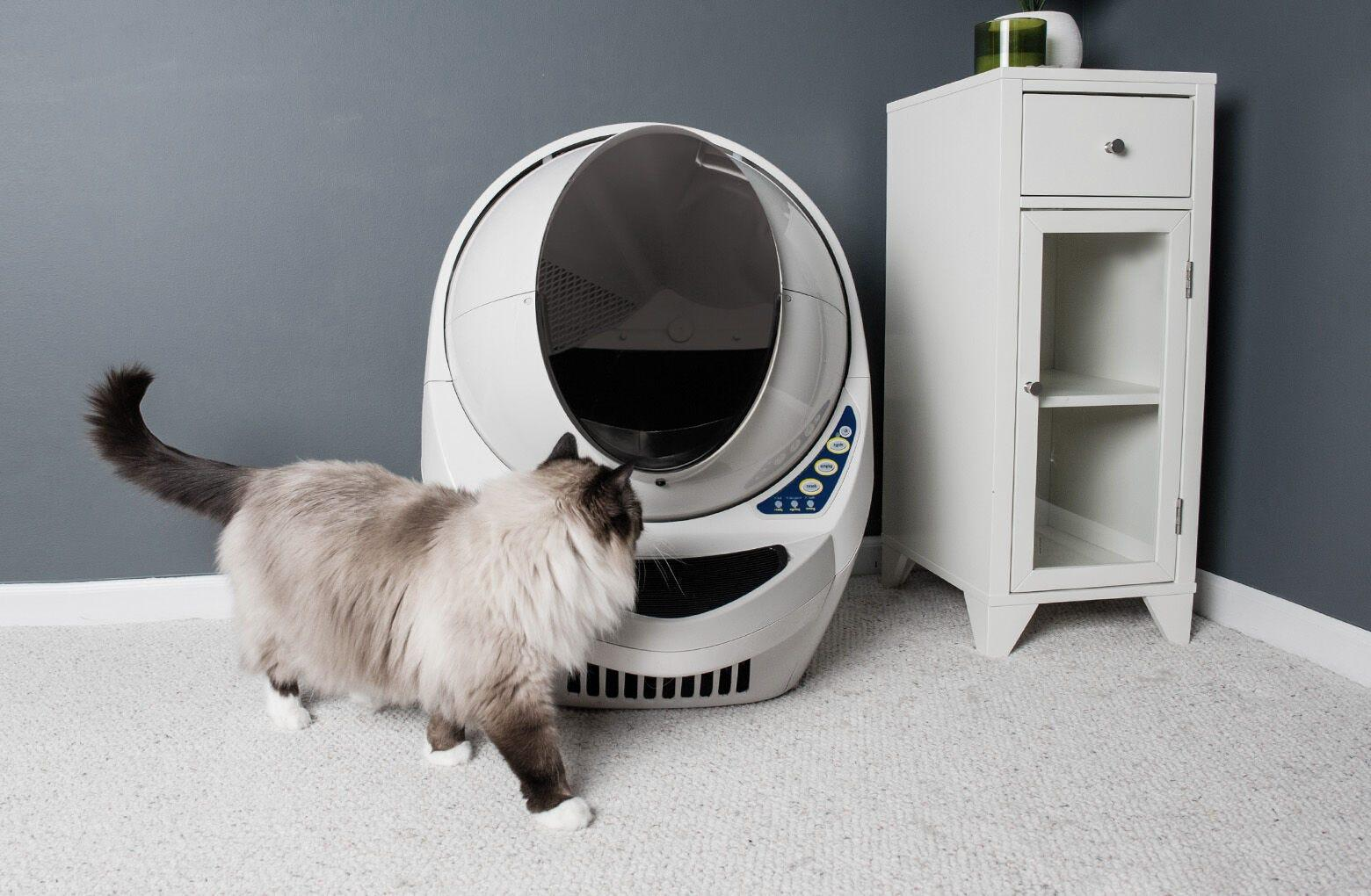 Reconditioned Litter-Robot 3 | Automatic Self-Cleaning | Whisker