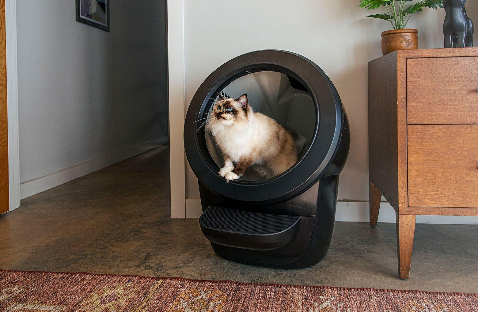 Litter-Robot 4 Bundle | 3-Year Extended Warranty & Smart Control | Whisker