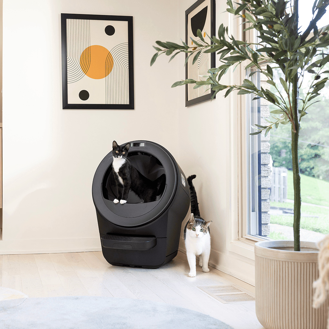 Litter-Robot 5 | Whisker’s Ultimate Smart Litter System | WasteID™ & Next-Level Health Insights