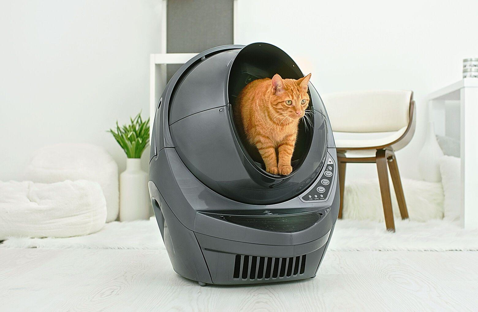 Litter-Robot 3 Connect Bundle | 3-Year Extended Warranty & Wi-Fi | Whisker