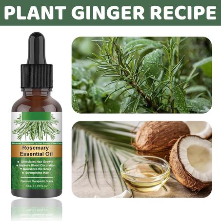 زيت الروزماري العطري مع إيلهو الروزماري يغذي ويصلح أطراف الشعر المتقصفة العناية بالشعر تقضي على الحكة وجفاف فروة الرأس