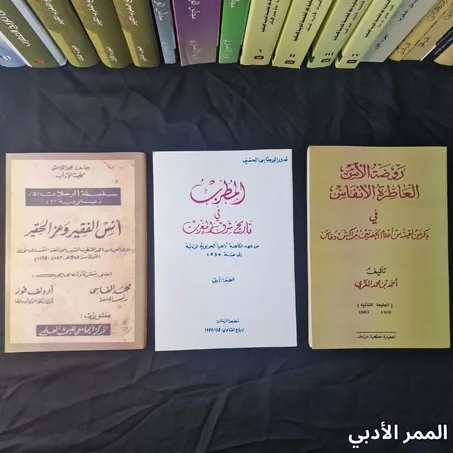 مجموعة قيمة من روائع الأدب العربي والتاريخ. تضم هذه المجموعة ثلاثية كتب قيّمة