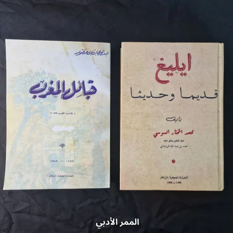 كنوز المكتبة المغربية: رحلة في عمق التاريخ والأنساب