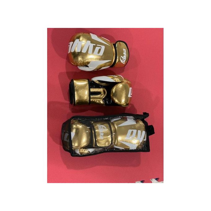 Kick boxing gloves PAKKA gold