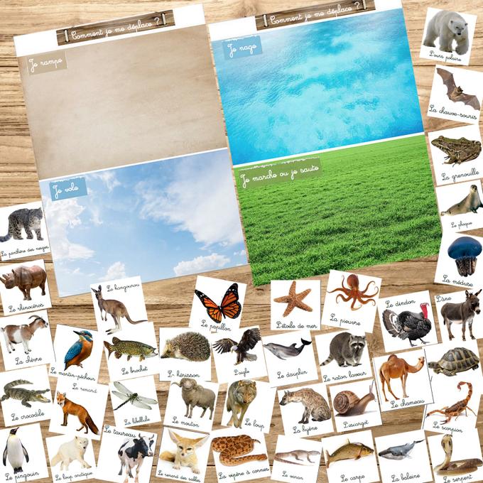 Box Montessori des animaux 3-6 ans 