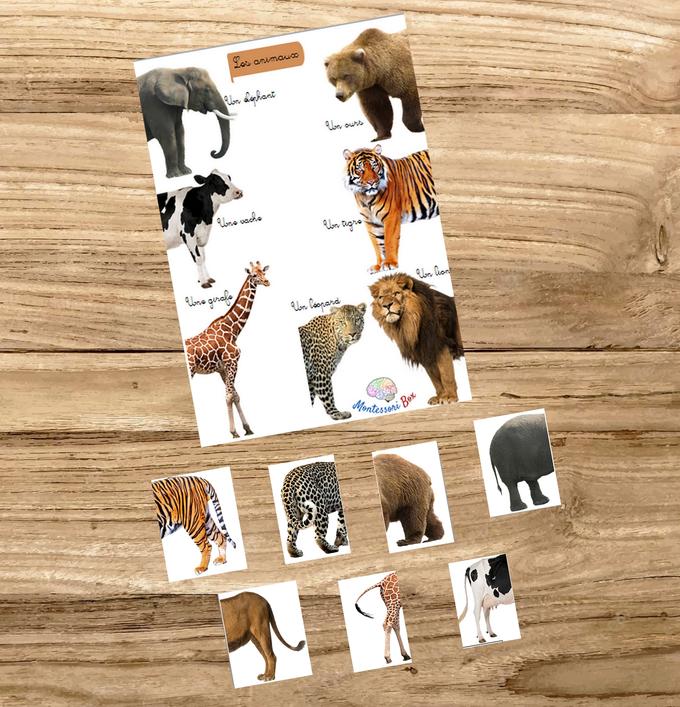 Box Montessori diversifiée 3 ans 