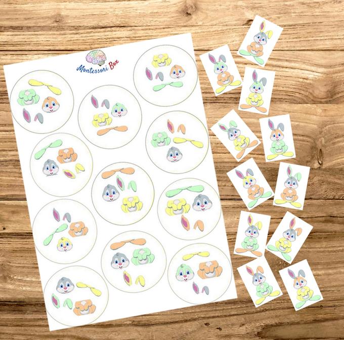 Box Montessori de discrimination visuelle 3-6 ans 