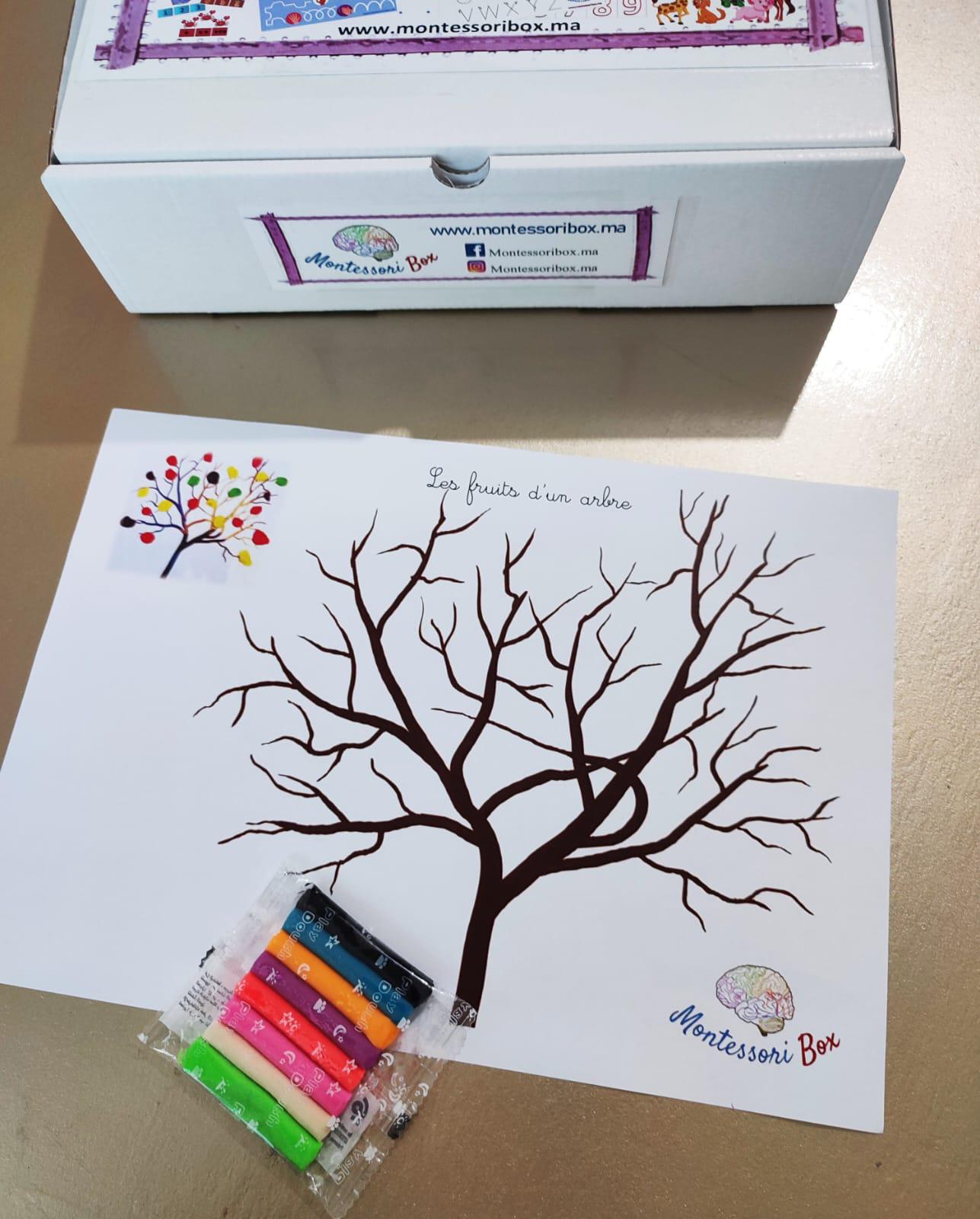 Box Montessori Préscolaire 2-4 ans 